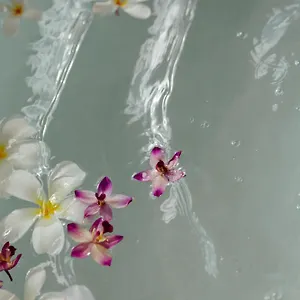 그랜드 와일레아 앤드 스파 와일레아마우이